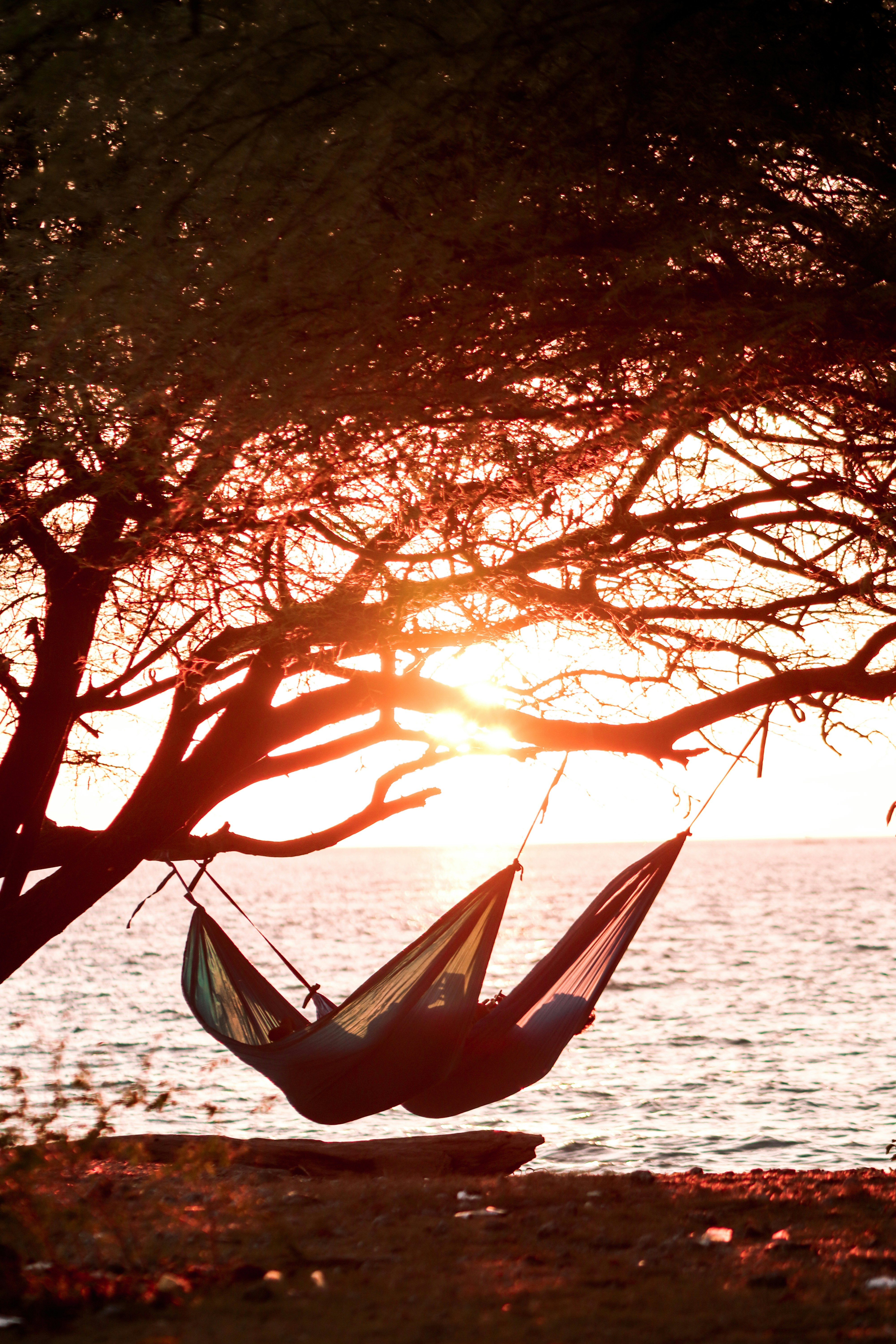 Two in Hammock